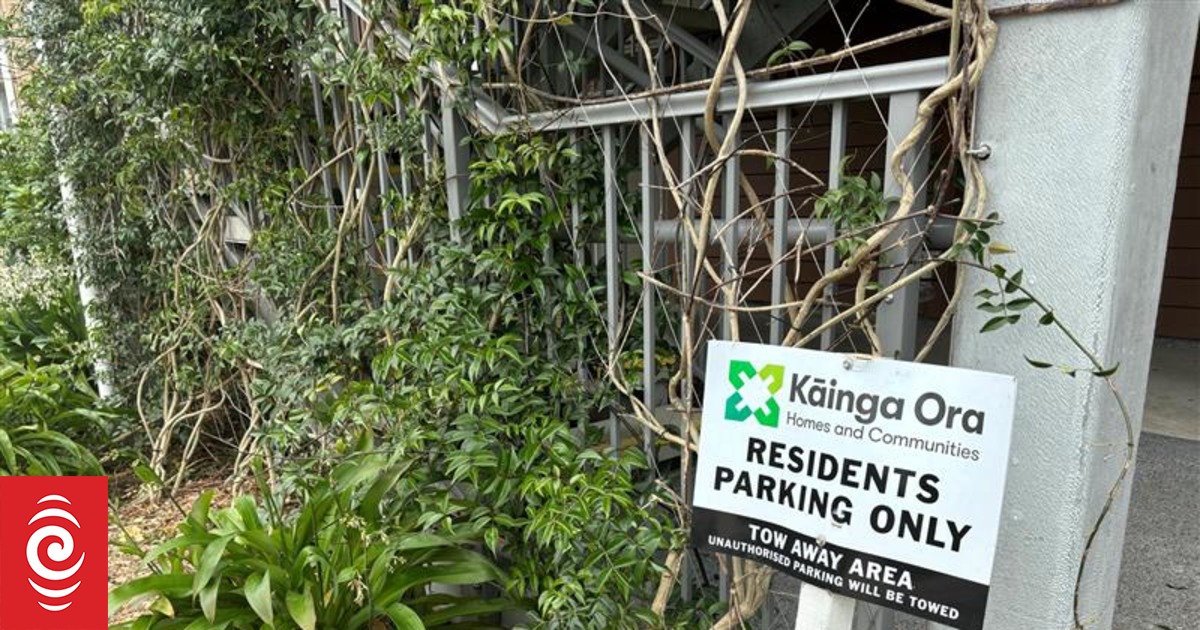 'I don't feel safe' - Kāinga Ora tenant says neighbour threatening family for two years - Vimarsana News