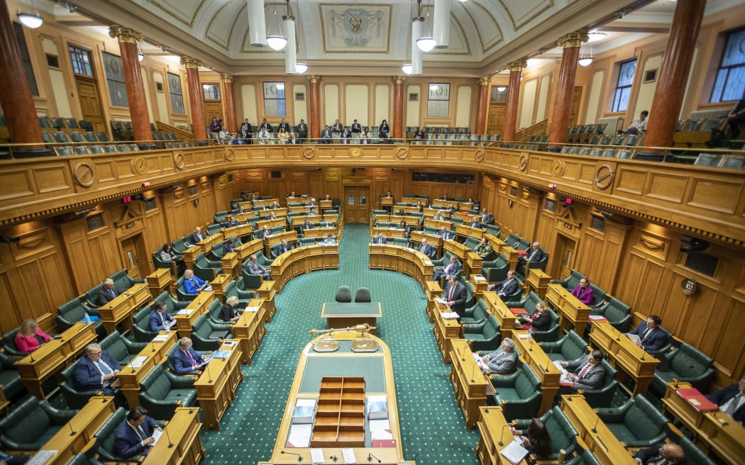 Does the new Parliament look like us? RNZ News
