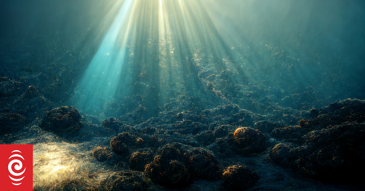 Deep-sea mining threatens tuna fisheries - study - Vimarsana News