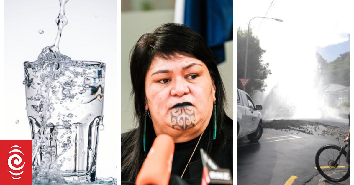 Three Waters Minister responds to outpouring of opposition RNZ