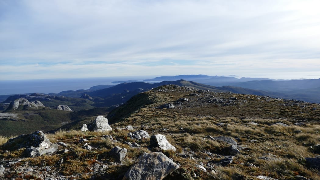 View from Mt Allen summit