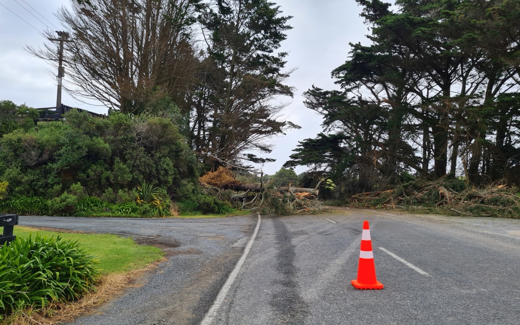 A downed tree on Baylys Beach Road, 9km west of Dargaville, Tuesday 14 February.