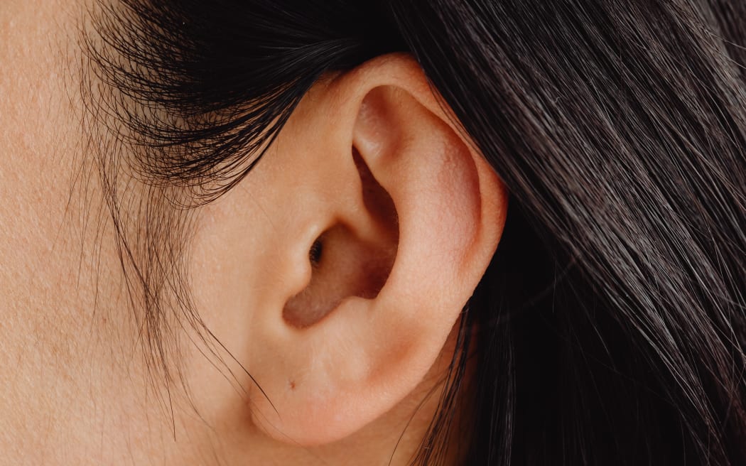 detalle de la oreja