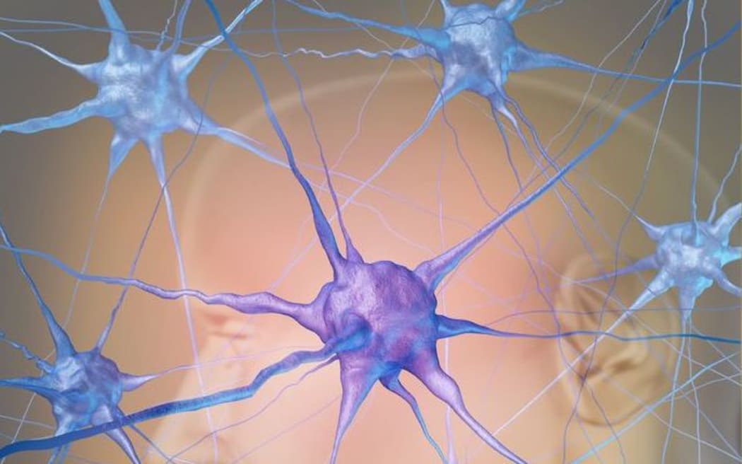 Neuron cells in the brain represent the science of neurology research finding treatment for autism