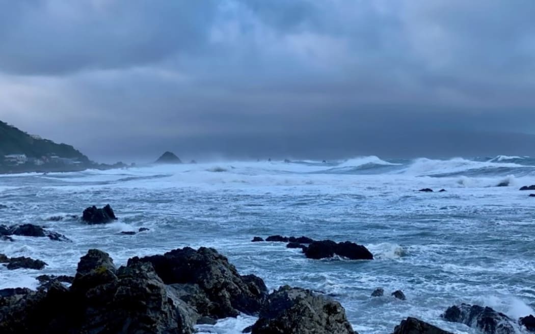 今天早上惠灵顿南海岸海浪汹涌。