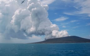 A frigate bird flying on the thermals from a new vent as steam and gas rise from the eruption of the Tonga volcano.