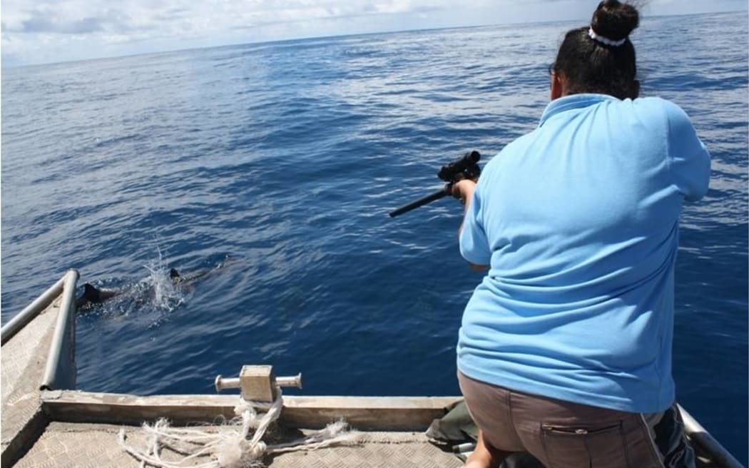Marine scientist Juney Ward's days 'in the office' are often an adventure.