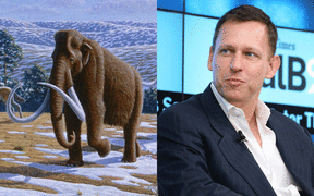 US entrepreneur and New Zealand citizen Peter Thiel reportedly donated $100,000 in 2015 to try to create a woolly mammoth-elephant hybrid.