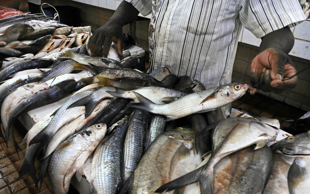 ปลาสดสำหรับขายในตลาดปลา Nadi ในเกาะ Viti levu, ฟิจิ