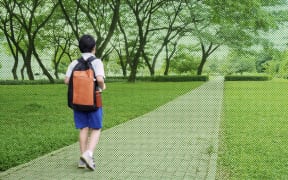Rear view of male elementary school student walking alone to school while carrying backpack