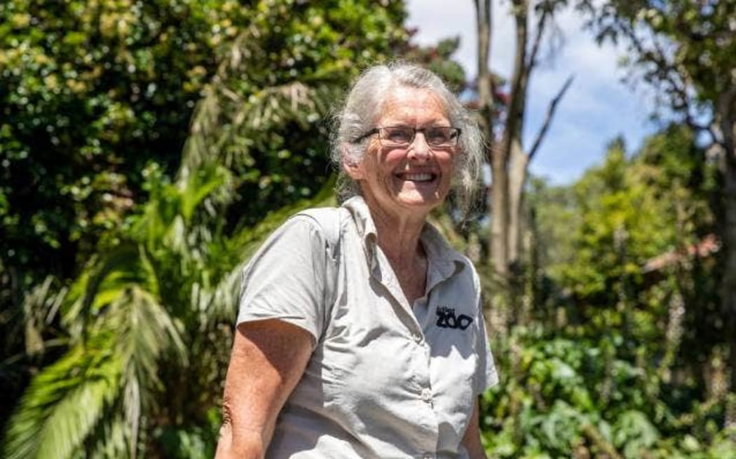 Senior primate keeper Christine Tintinger has been working for the zoo longer than most – racking up 40 years.