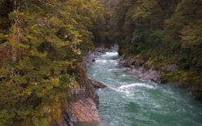 The Hollyford River in Fiordland.