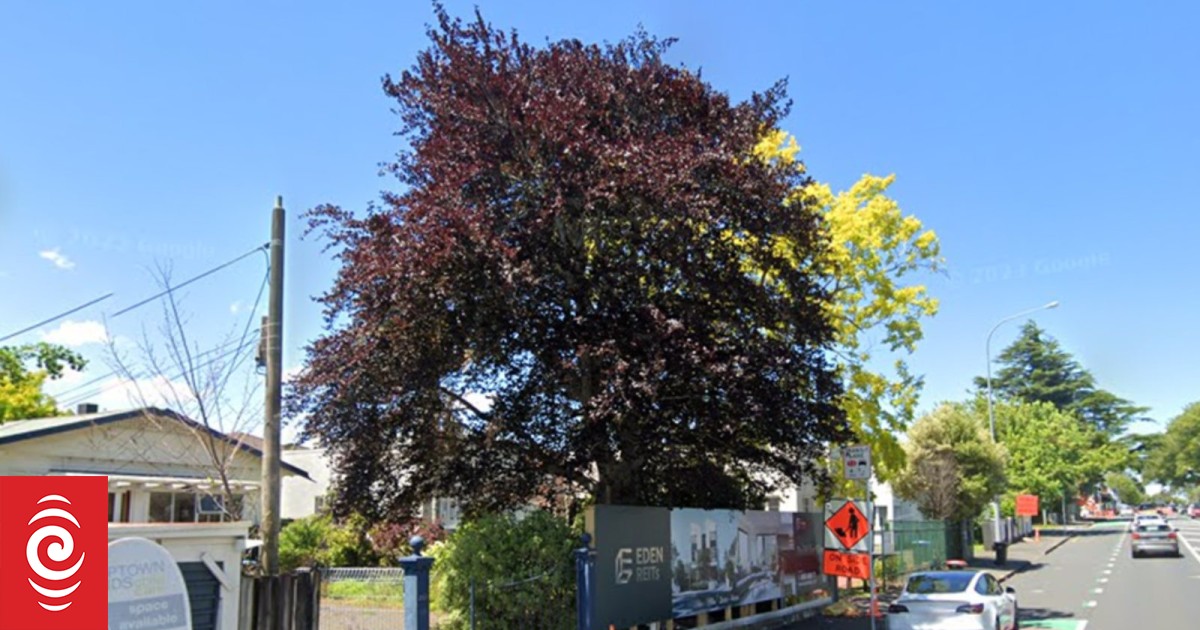 Arborists cop $32k fine for chopping down the wrong tree - Vimarsana News
