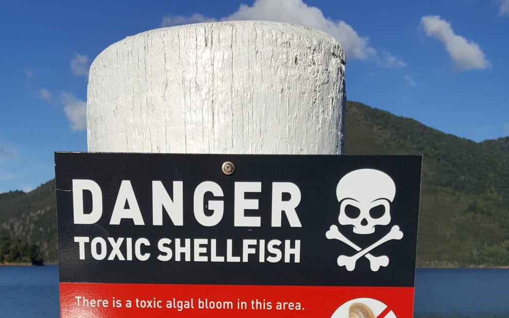 Toxic shellfish warning for Coromandel, Bay of Plenty RNZ News