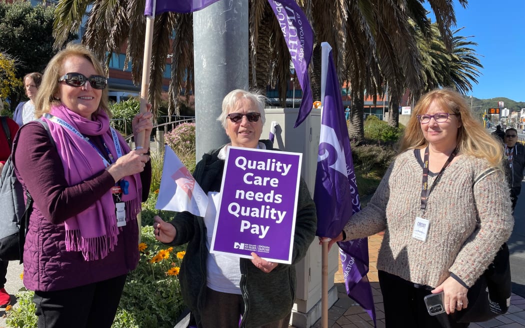Doctors supported by nurses picket Wellington hospital.
