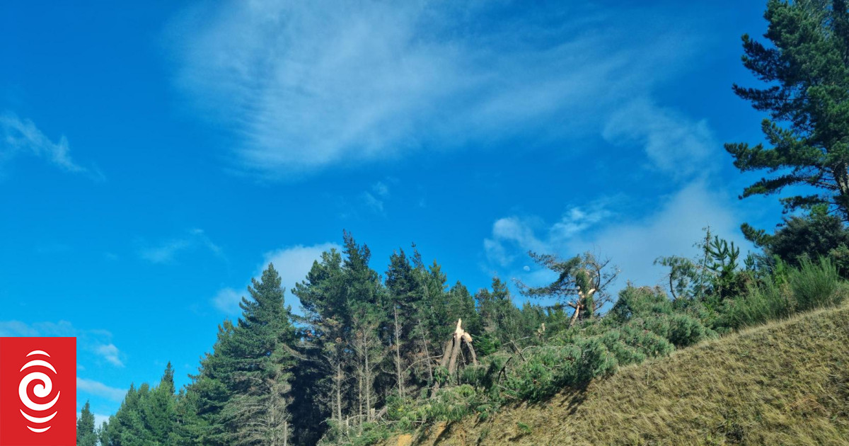 Govt announces $12m boost to help with roading repairs at top of South Island - Vimarsana News