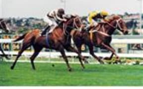 Bonecrusher dominated the New Zealand horse racing scene in the mid to late eighties.