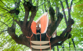 Jacob Dench's suspended treehouse