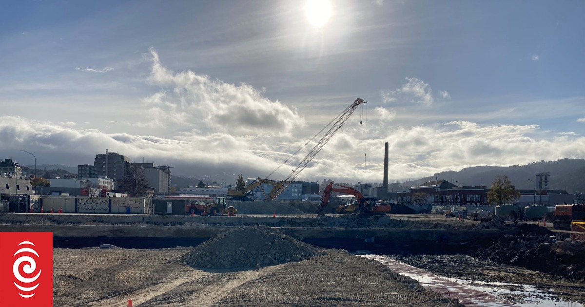 Single learning facility cut from Dunedin health precinct plans RNZ News