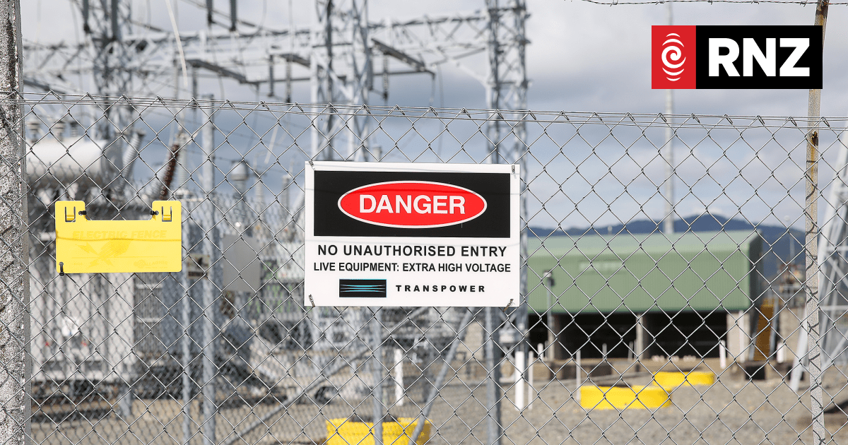 Cat that caused power cut got into 'worst possible' substation site, Transpower says - Vimarsana News