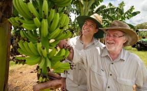 Dr Jean-Yves Paul, left, and QUT Distinguished Professor James Dale, right, with a bunch of QCAV-4 bananas, at the trial site in the Northern Territory.
