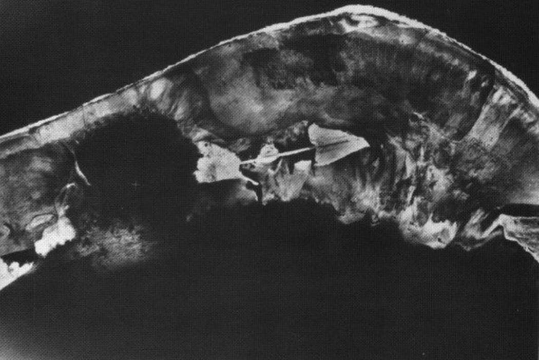 A handout photo shows an aerial shot of the Enewetak Atoll in the Marshall Islands after it was used for the first ever of the h-bomb test.