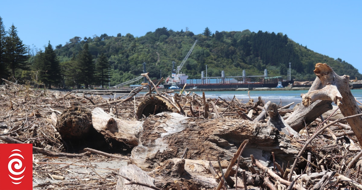 Gisborne mayor ‘heartbroken’ for family of child who died at Waikanae Beach