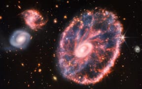 A large galaxy on the right, with two much smaller companion galaxies to the left at 10 o’clock and 9 o’clock. The large galaxy resembles a speckled wheel, with an oval outer ring and a small, off-center inner ring. The outer ring contains pink plumes like wheel spokes, with dusty blue regions in between. The pink areas are silicate dust, while the blue areas are pockets of young stars and hydrocarbon dust. The inner ring is smoother, filled in with a more uniform pale pink. This smaller ring is interwoven with thin, orange-pink threads. On the galaxy's right edge, a bright white star with 8 diffraction spikes shines. The two companion galaxies to the left, one above the other, are about the same size and both spiral galaxies. The galaxy above is a reverse S shape but similar in coloring and texture as the large ring galaxy. The galaxy below is smoother and largely white, with a blue tinge. The background is black and full of more distant, orange-red colored galaxies of various sizes. (Supplied by NASA)