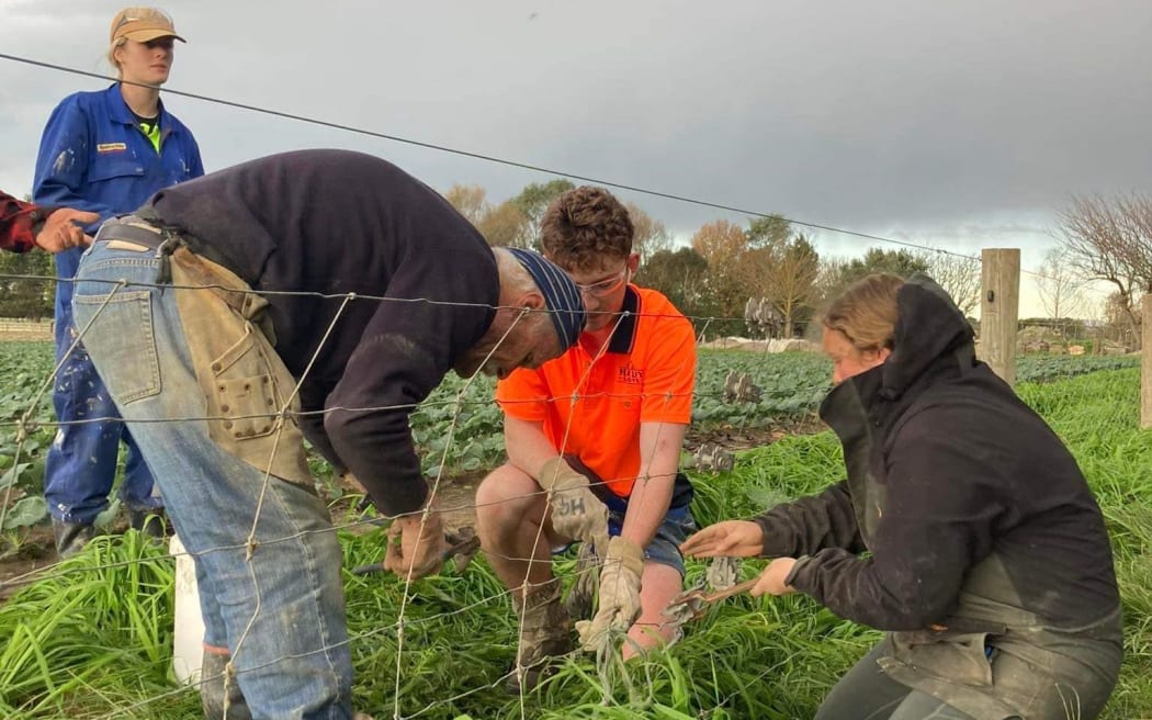 Handy Landy volunteers from Lincoln University help with fencing on a cyclone-hit property in the Hastings area.