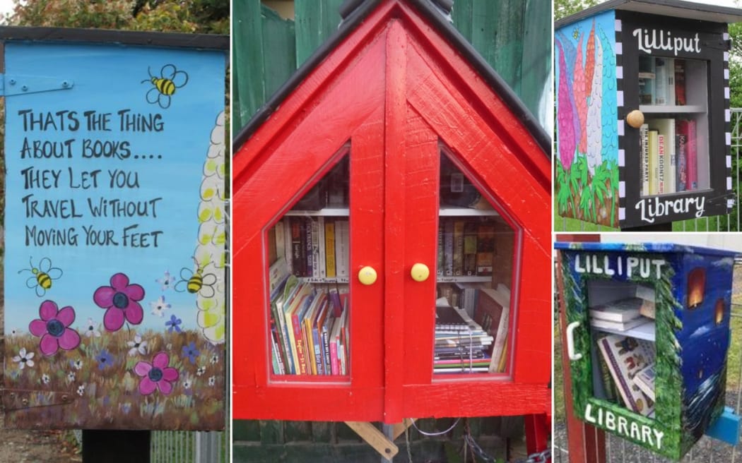 Lilliput Libraries have spread throughout the country thanks to Ruth Arnison.