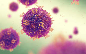 An illustration of the highly contagious measles virus.