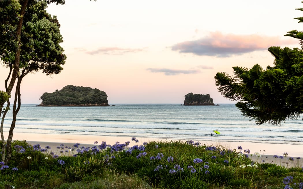 Whangamatā beach is popular with summer holiday makers