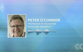 National Standards 'didn't lift achievement'   education professor