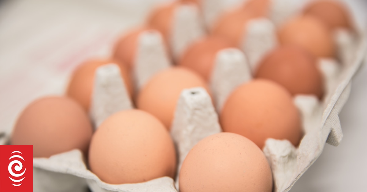 Poproś o umieszczenie wyraźnej etykiety na jajach kurzych w klatkach