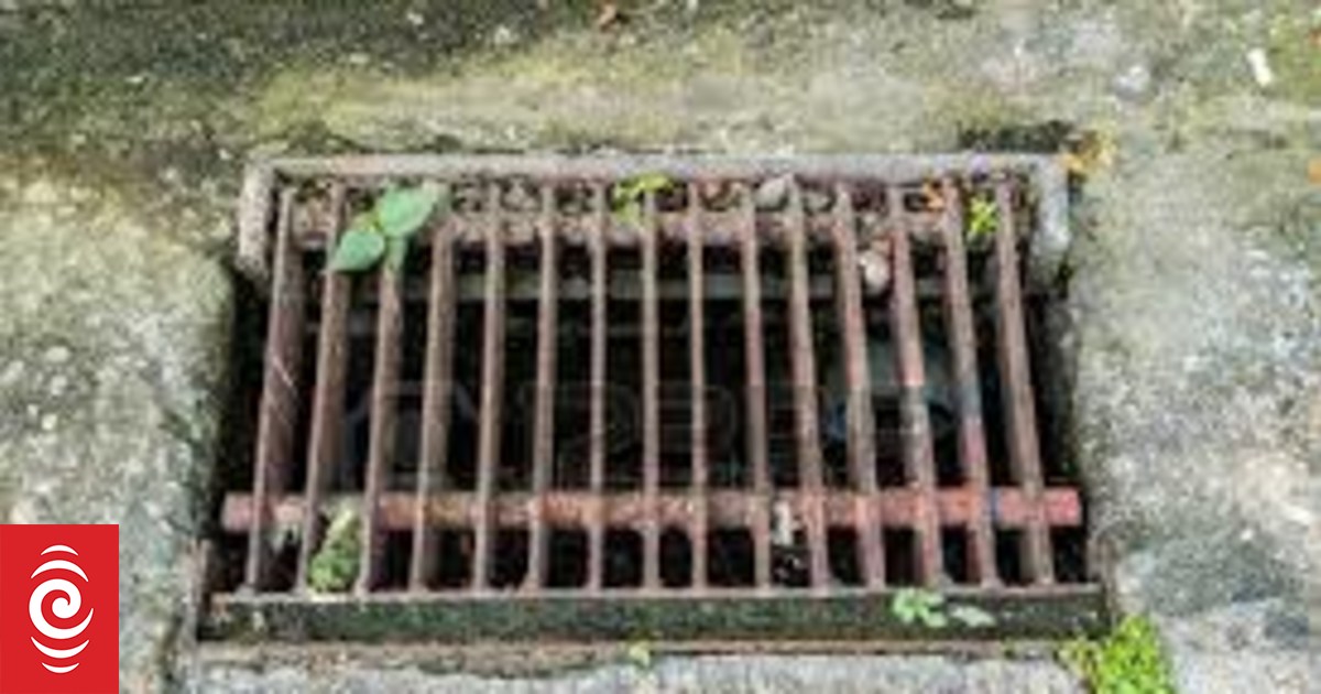Canterbury swimmers face E-coli risk from polluted waterways - Vimarsana News