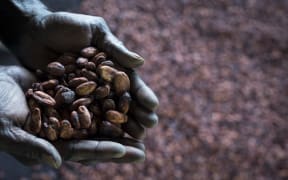A revival of the cocoa industry has played a key role in helping to cement peace in the community of Konnou, in southern Bougainville.