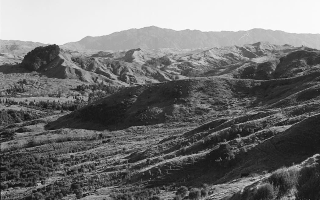 A view from the Rangitukia-Tikitiki Road 1963