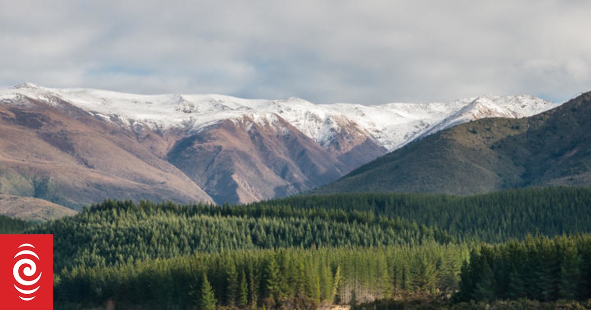 What’s wrong with the Emissions Trading Scheme?