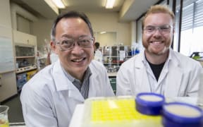 Chemists Eng Tan and Sean Mackay, in the lab at the University of Otago.