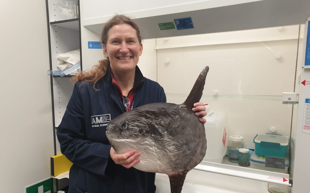 Marianne is smiling and wearing a navy blue lab coat in front of a fume hood in a lab. She is holding a small wrinkly sunfish