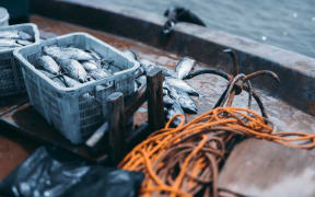 View with a shallow depth of field of the deck of a fishing vessel: boxes with a fresh fish yield of tuna, the yellow rope and simple drag anchor, ocean water with bokeh overboard