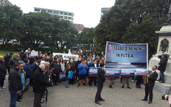 A protest against seabed mining in Taranaki at Parliament on 19 September 2016.