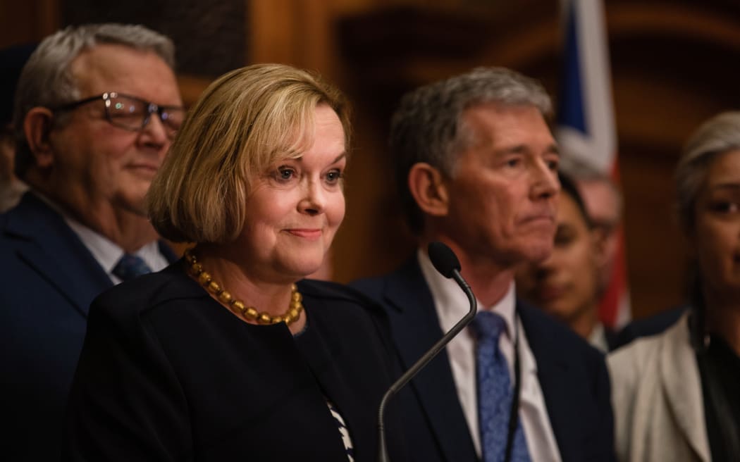 Judith Collins on her plans for National RNZ