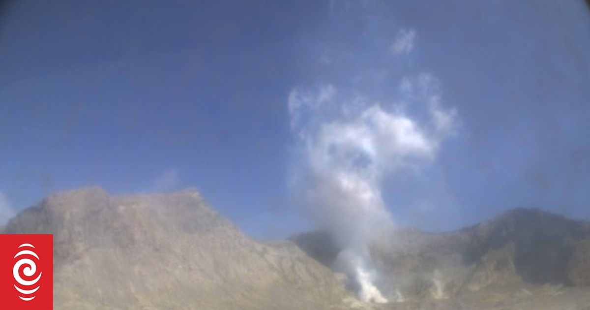 Whakaari/White Island Owners confirm they're facing charges RNZ