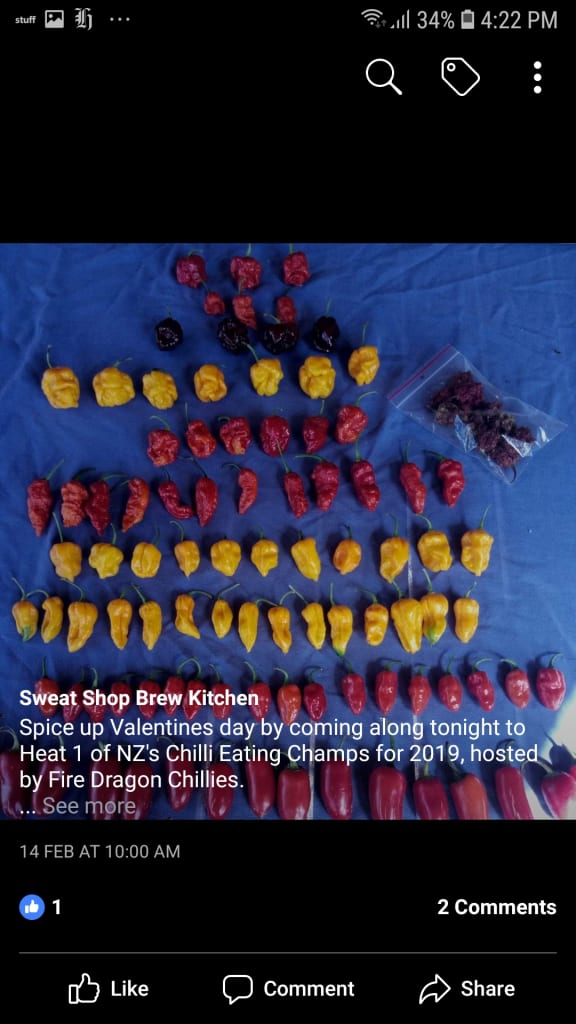 Hot Sauce Festival A Gallery from Easter Monday RNZ National