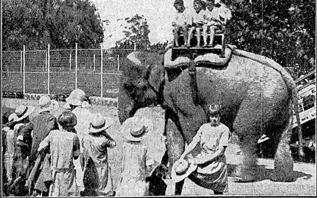 In 1925, children take a ride on an elephant at Auckland Zoo.