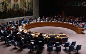 The UN Security Council meeting on 29 July 2015.