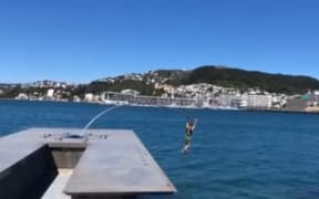 The Wellington waterfront sculpture by Len Lye was snapped by a man swinging from it.