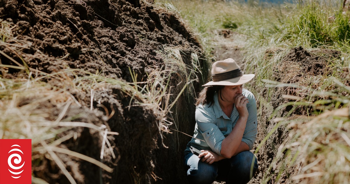 The impact soil has on everything | RNZ