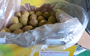 Zespri gold kiwifruit grown on Jeju Island.